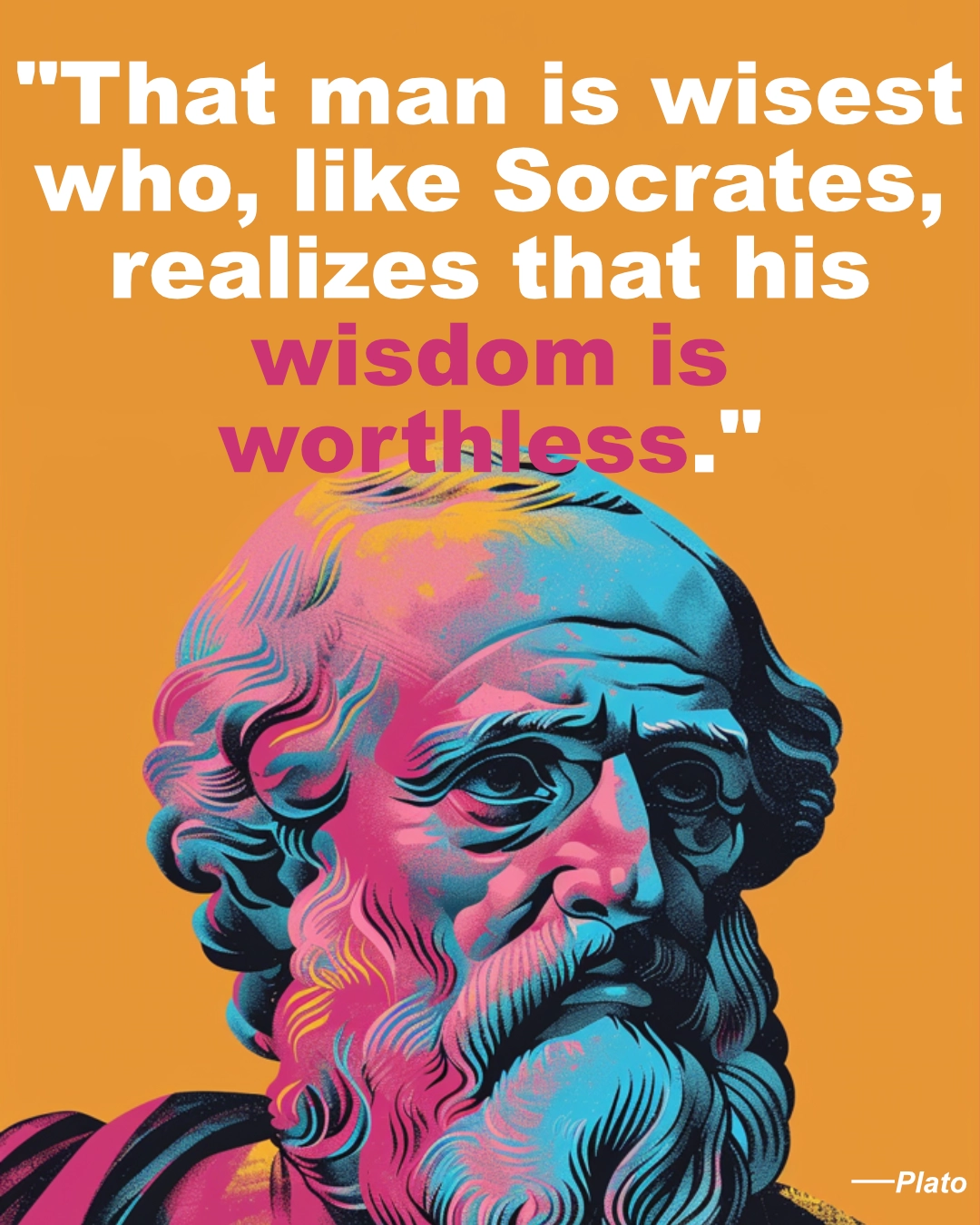 Plato Wisdom