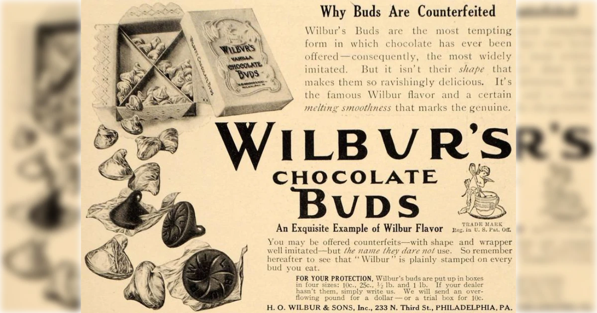 Wilbur S Buds Vintage Ad