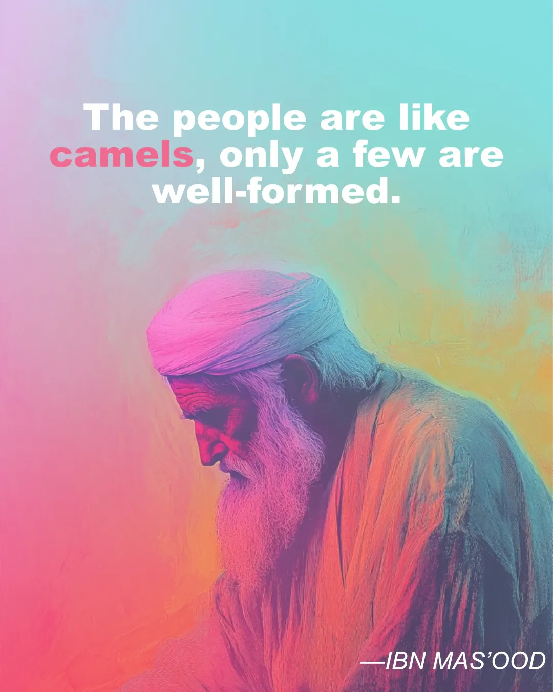 © History Oasis IBN MAS OOD Camels