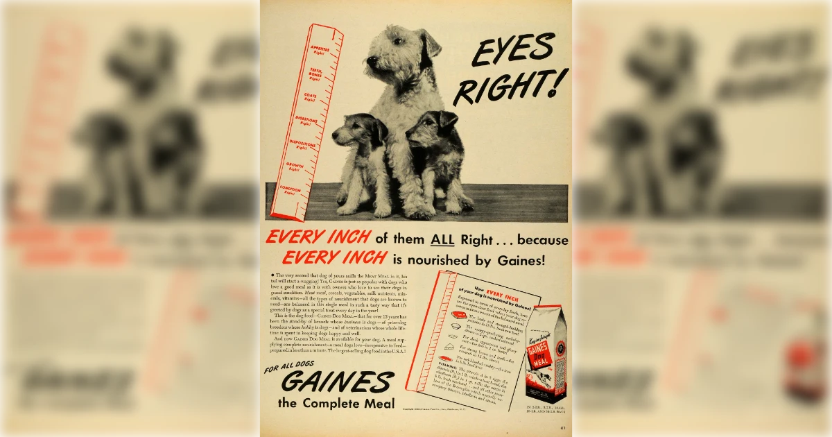 Gains Food Company Gaines Dog Food
