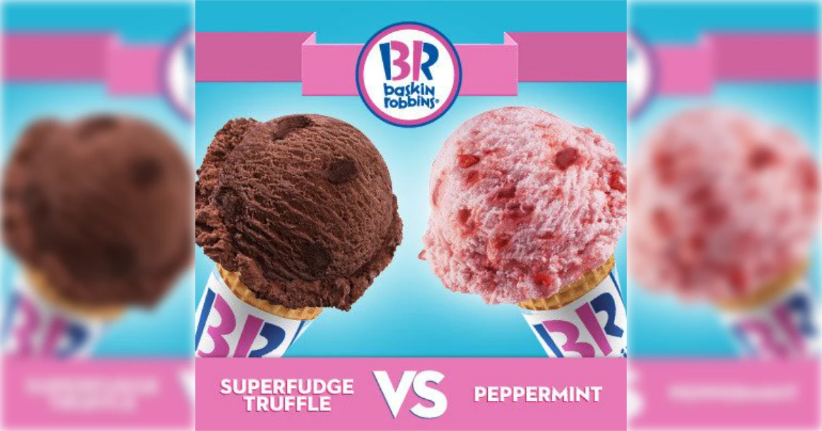 Baskin-Robbins SUPERFUDGE TRUFFLE
