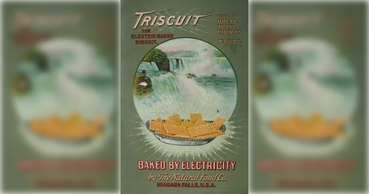 The Natural Food Co. Triscuit Original Large Size