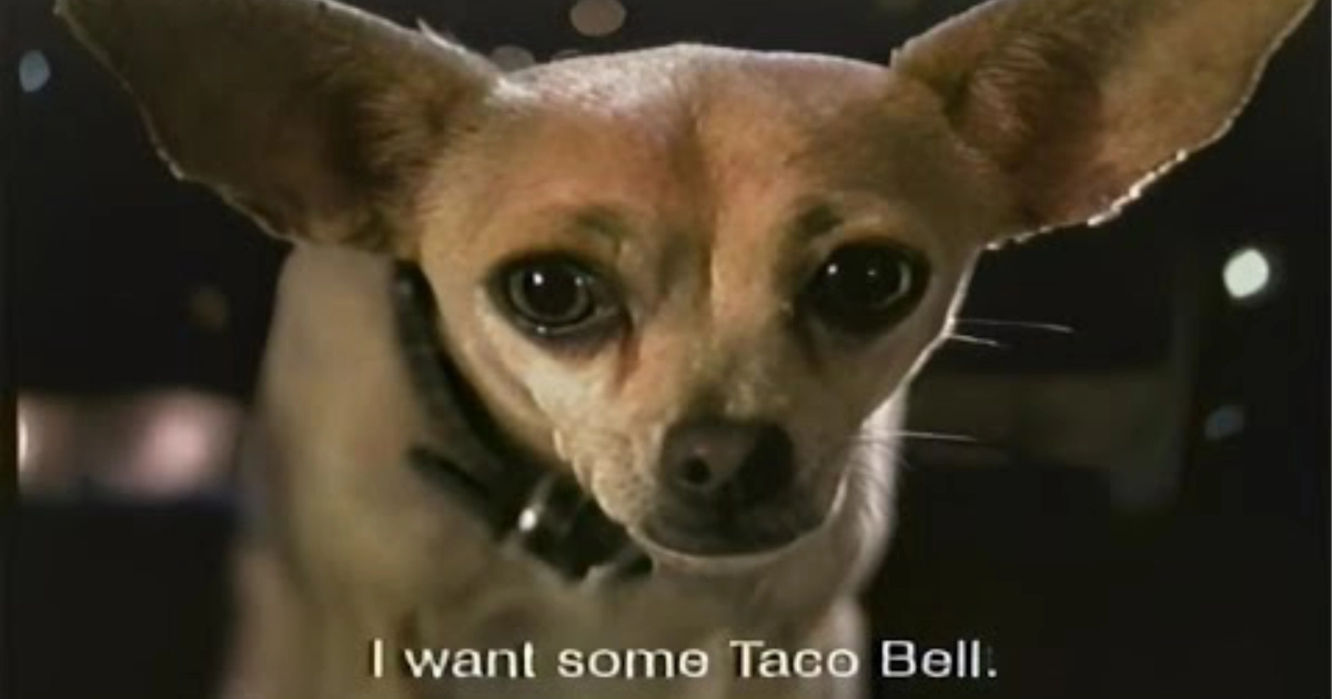 Taco Bell Taco Bell Chihuahua Taco Bell