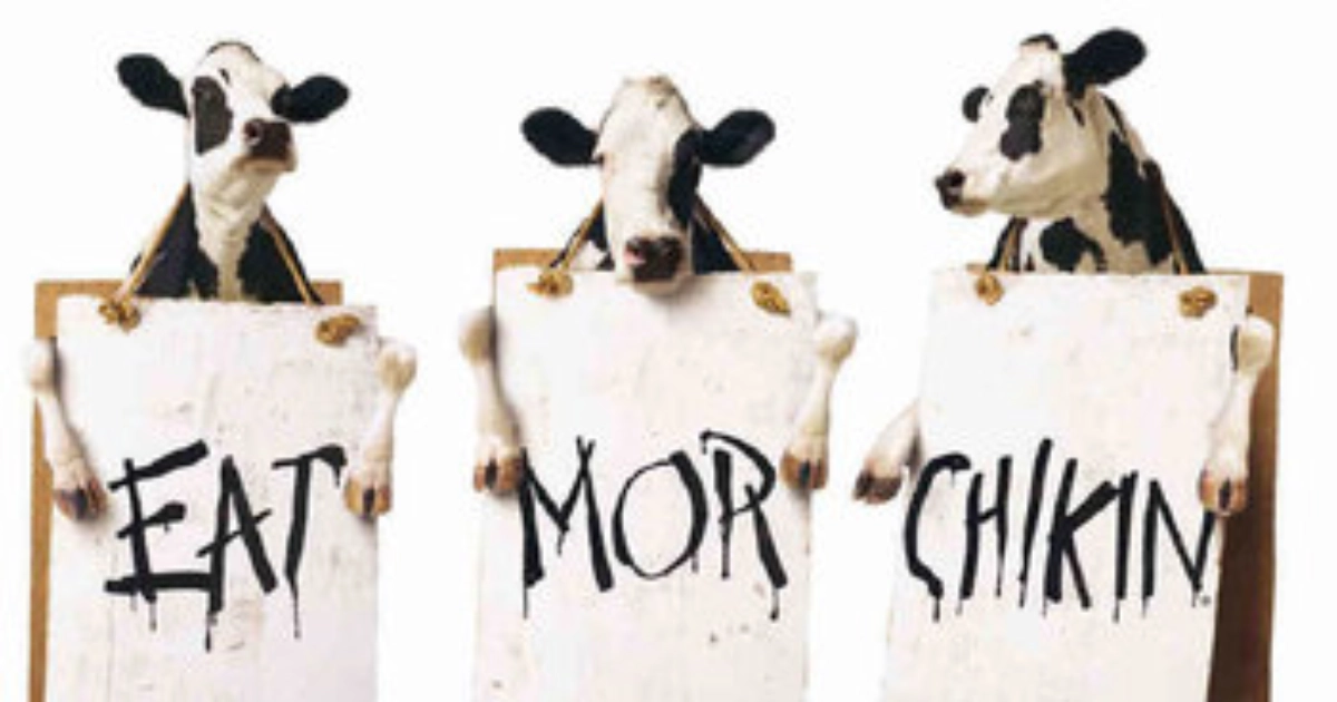 Chick-fil-A Chick Fil A Cows Chick Fil A