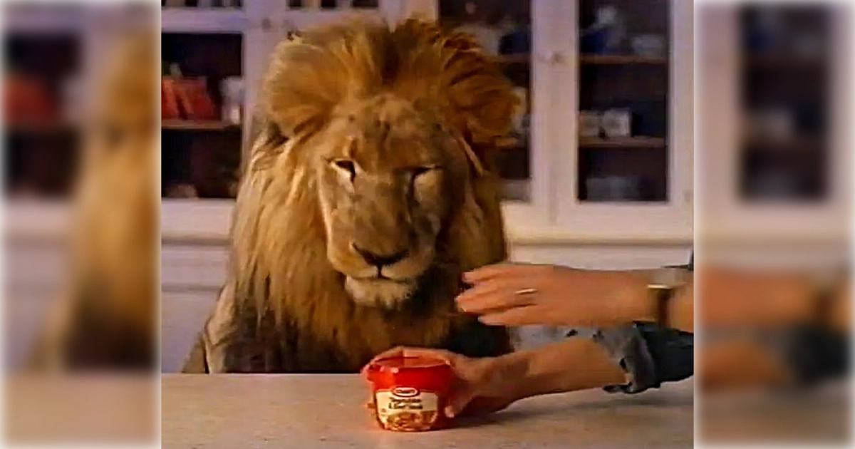 Kraft Kraft Microwave Entrees