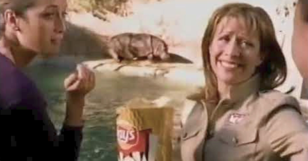 Frito-Lay Wow Chips Commerical