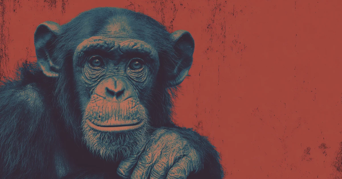 These Famous Chimps Became Millionaires, Artists, Astronauts, & More